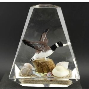 PAPERWEIGHT LUCITE CLEAR CANADIAN GOOSE ON BEACH TREE TRUNK SHELLS VINTAGE‎